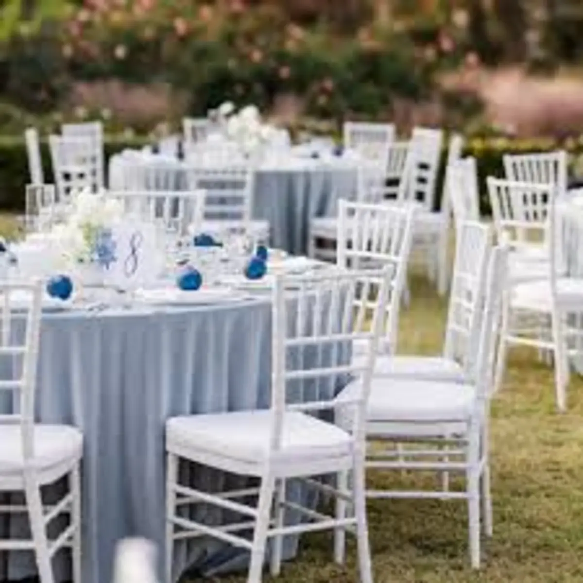 Chaise Chiavari